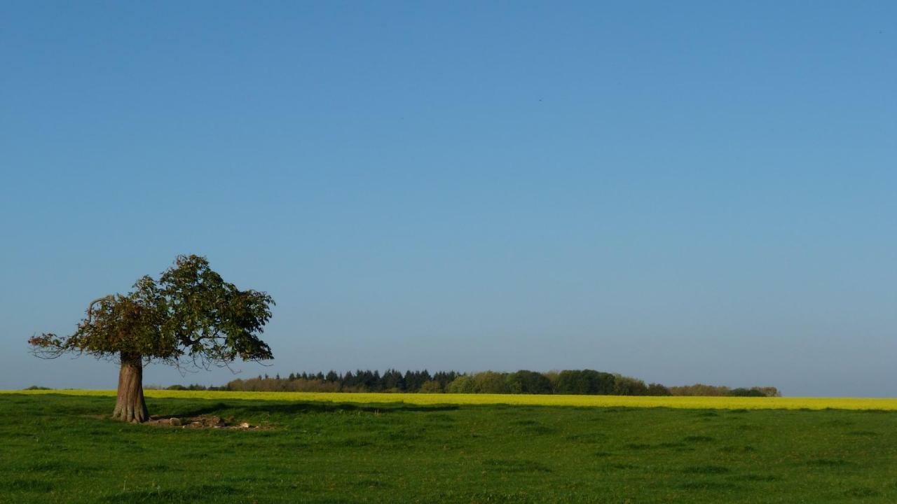 Les Houx De Mathieu Villa Engis Buitenkant foto